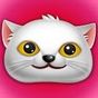 Talking Honey Cat Angela APK