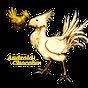 Apk Android Chocobo
