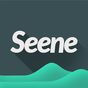 Seene apk icono