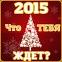 Тест на 2015 новый год APK