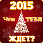 Тест на 2015 новый год APK