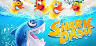 Shark Dash image 