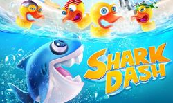 Immagine 6 di Shark Dash