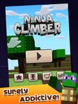 Turtle Ninja Climber-Mine Mini Bild 5