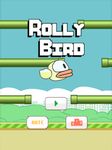 Imagem  do Rolly Bird - Can't Fly