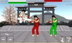 Final Karate image 5