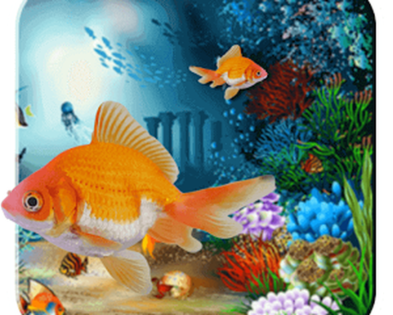 Aquarium Fish Live Wallpaper APK - Free download for Android