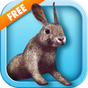 APK-иконка Bunny Simulator Free