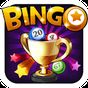 Bingo Tournament APK icon