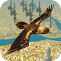 APK-иконка Eagle Bird Game