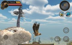 Картинка 3 Eagle Bird Game