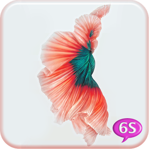 Betta Fish 6S Live Wallpaper APK - Free download for Android