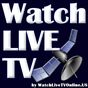 Watch Live TV Online APK