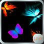 Icoană apk Neon Butterfly Live wallpaper