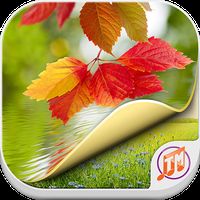 Hd Nature Wallpapers For Android Mobile Free Download