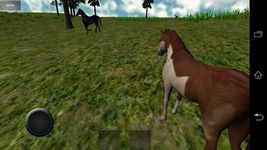 VR Pferd Bild 2