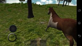 VR Pferd Bild 7