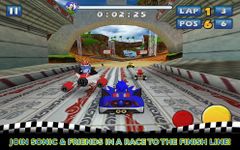 Imej Sonic & SEGA All-Stars Racing 12