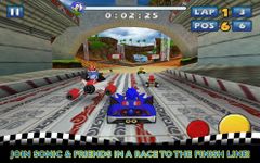 Imagem  do Sonic & SEGA All-Stars Racing™