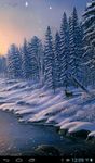 La neige d'hiver  wallpaper image 8