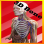 APK-иконка 3D Human Anatomy Skeletal