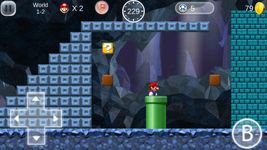 Super Mario 2 HD ảnh số 5