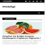 Mobilgi imgesi 