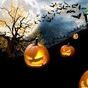 Ícone do apk Halloween Free Live Wallpaper