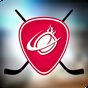Ícone do apk Pin Hockey - Ice Arena