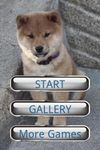 Imagem 1 do Dog Puzzle: Akita