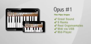 Opus #1 Pro - The Midi Organ obrazek 