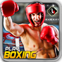 World Boxing Punch Fighting 17 APK