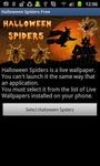 Imagem 8 do Halloween Spiders Free