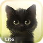 APK-иконка Savage Kitten Lite