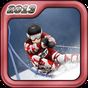 Ski & Snowboard 2013 Free APK