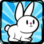 Bunny Rabbit Evolution  APK