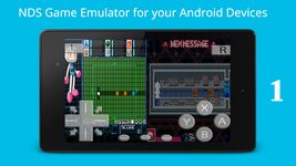 viDS(NDS Emulator) ảnh số 1