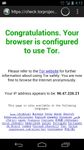 Gambar Orweb: Private Web Browser 1