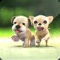 3D Cute Lovely Dog APK
