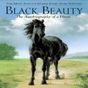 Ícone do Black Beauty