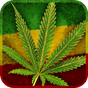 Ícone do apk Folha de Maconha HD Bateria