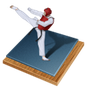 Icône apk Taekwondo Bible (WTF)