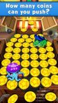 Coin Dozer: Pirates 이미지 