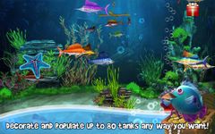 Imagem 7 do Dream Fish