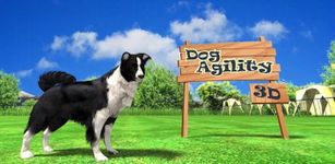 Картинка  Dog Agility 3D Free