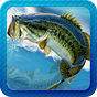 pesca Fever APK