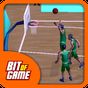 Ícone do apk Basketball Sim 3D