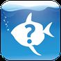 What Fish UK apk icon