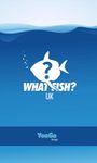 What Fish UK image 5