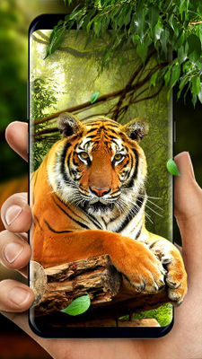 Download 76 Gambar Harimau Free Download Terbaru Gratis